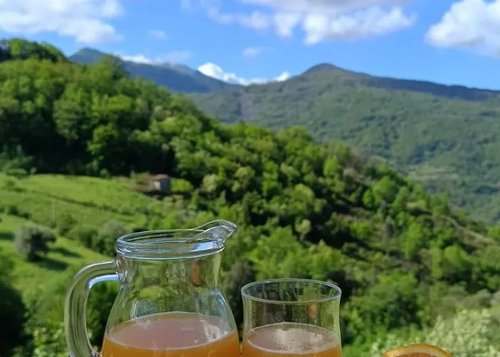 לינה וארוחת בוקר La Casetta Verbicaro